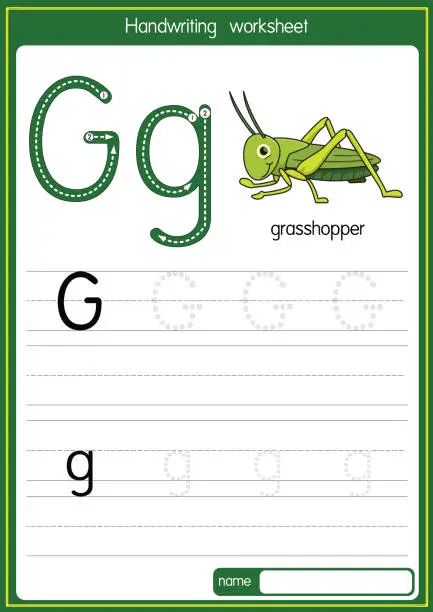 Vector illustration of Vector illustration of Grasshopper with alphabet letter G Upper case or capital letter for children learning practice ABC