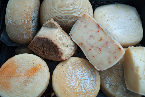 Pecorino cheese of Monte Poro, Vibo Valentia, district of Vibo Valentia, Calabria, Italy, Europe