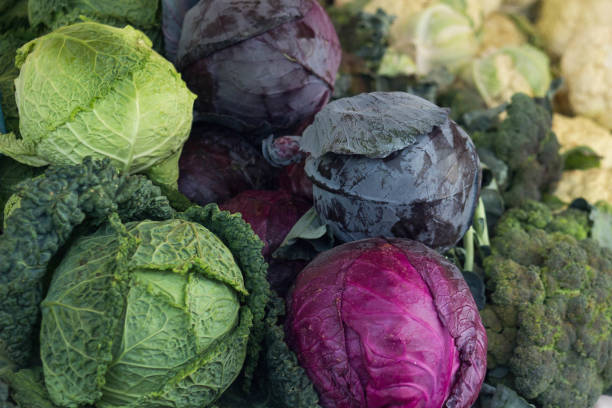 istock Different types of real organic cabbage on the market 1357693400