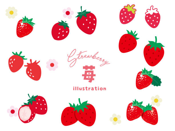 erdbeerillustration (frucht, frucht, erdbeere, süß, stilvoll) erdbeerillustration (frucht, erdbeere, erdbeere, süß, stilvoll) - green ground juice freshness stock-grafiken, -clipart, -cartoons und -symbole