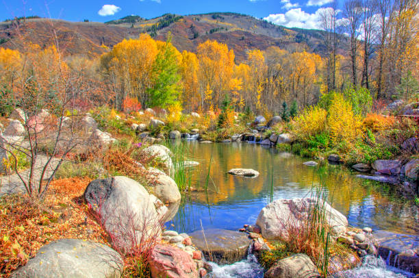 istock Small Stream with fall leaf colors near Aspen,Colorado 1357694512