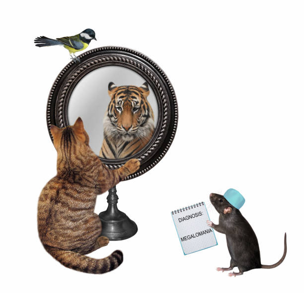 istock Cat with diagnosis megalomania 1357694694