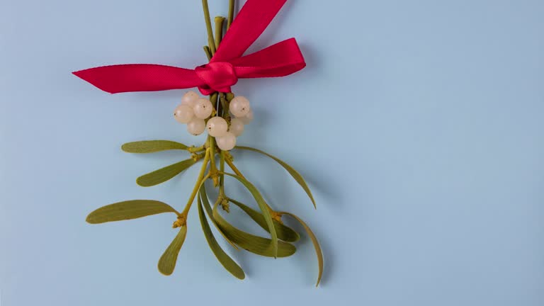 Red bow tied on a bunch of mistletoe