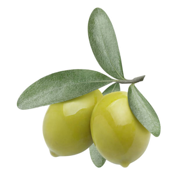 istock Two delicious olives on white 1357697203