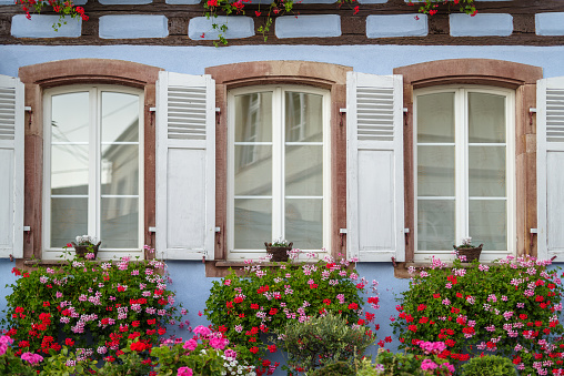 Windows with geraniums on the half-timbered house, Eguisheim village, Alsace, France