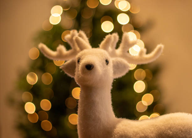 istock White cute and funny reindeer, christmas tree in background, bokeh, lights. 1357697457
