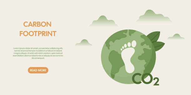 illustrazioni stock, clip art, cartoni animati e icone di tendenza di concetto di impronta di carbonio co2. illustrazione vettoriale relativa alla sostenibilità, all'ecologia e all'ambiente. - environmental footprint