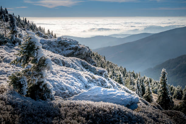 istock Scenic landscape with spruce trees covered with rime 1357698484