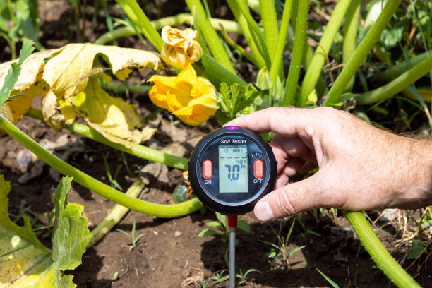 Soil pH value, environmental illumination and humidity quality measurement in a vegetable garden stock photo