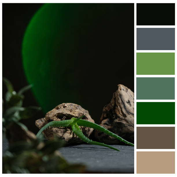 istock Green and brown colour palette. Color swatch 1357699732