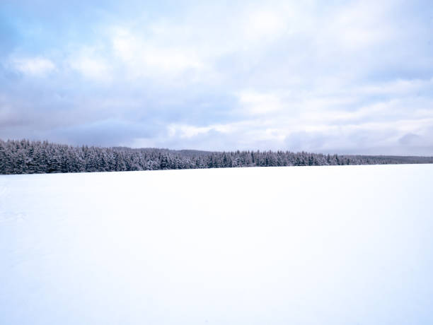istock Winter scenic snowy cloudy landscape 1357700721