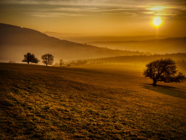 istock Scenic hilly landscape with solitary trees during sunset 1357700860