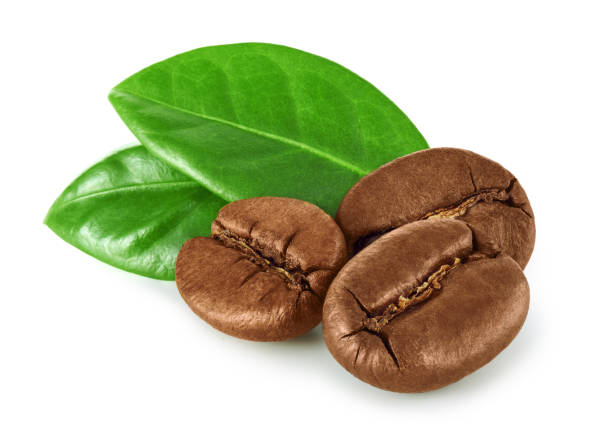 istock Coffee beans with leaves isolated on white background 1357701823