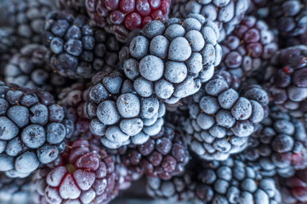 istock frozen frosly look blackberries closeup 1357704310