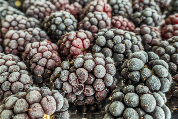 istock frozen frosly look blackberries closeup 1357704329