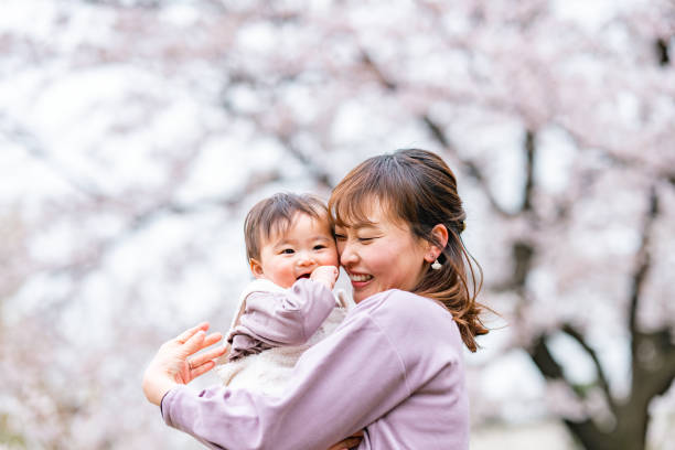 mother and her small daughter enjoying their time during spring time sakura cherry blossom trees season in nature - love growth time of day cheerful imagens e fotografias de stock