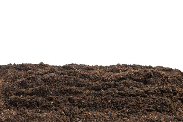 istock Soil for plant isolated on white background. 1357707588