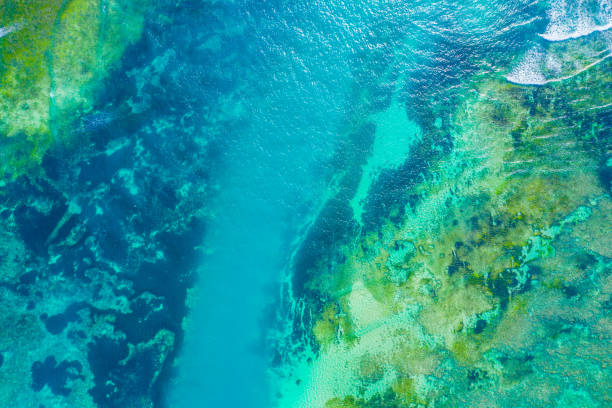 istock Aerial view to ocean waves. Blue water background. Dramatic colors photo. 1357708421