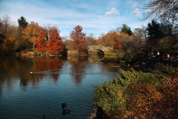 istock Central Park in Manhattan 1357711190