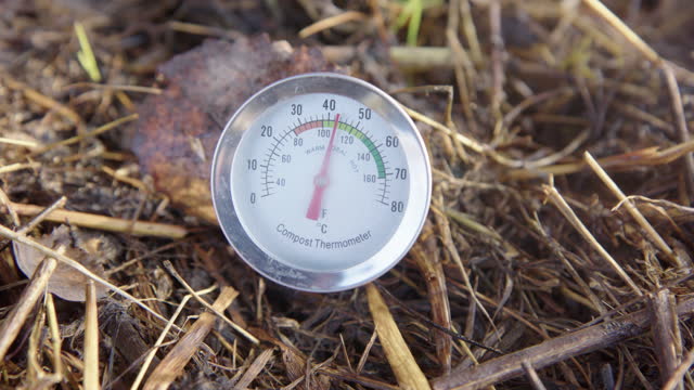 BIG CLOSEUP PAN of a compost thermometer in a healthy steaming heap