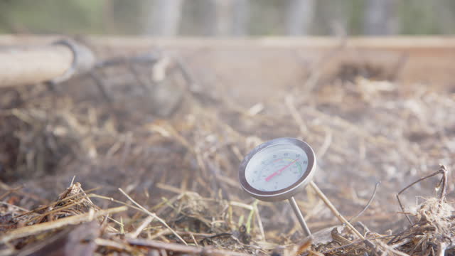 Compost thermometer in a healthy steaming compost