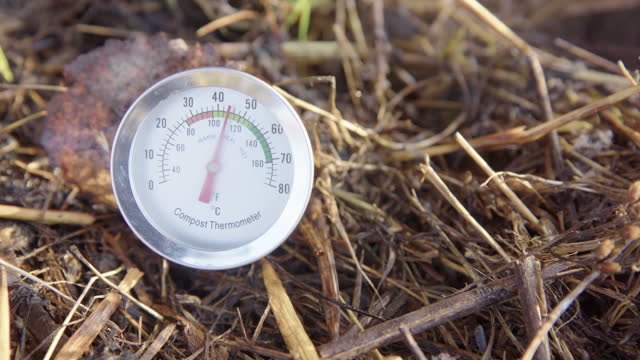 BIG CLOSEUP compost thermometer displaying an ideal composting temperature