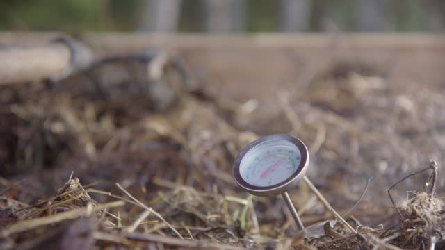 SLOW MOTION - steam rises around the compost thermometer