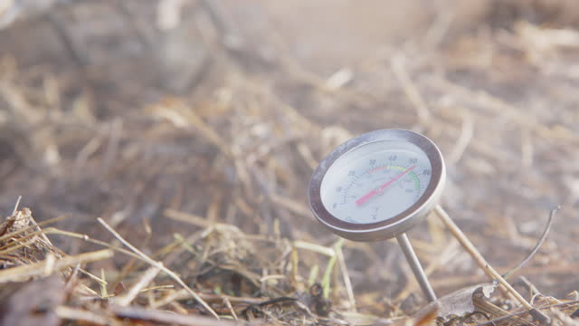 ZOOM IN - Compost thermometer in a healthy steaming compost