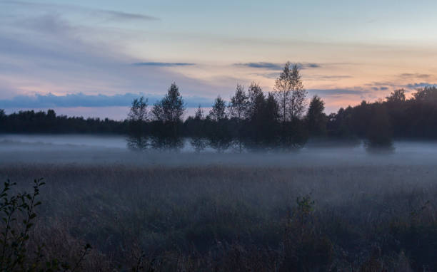 istock autumn evening in a moor 1357715141