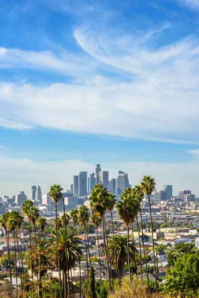 bewölkter tag der skyline von los angeles und palmen im vordergrund - los angeles stock-fotos und bilder