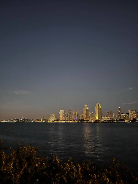 istock San Diego Night Skyline, California, USA 1357723732