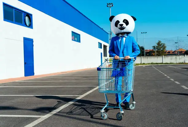 Photo of Storytelling image of man wearing giant panda head
