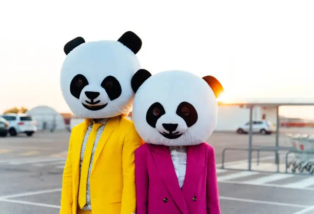 Storytelling image of a couple wearing giant panda head and colored suits. Man and woman making party in a parking lot.