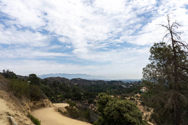 istock Foot path in the Hollywood hills and mountains with trees around. 1357724718