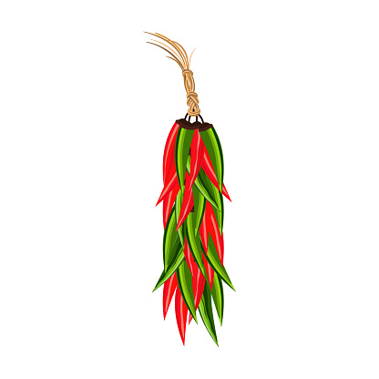Hot chili peppers garland hanging ristra vector. Red green spicy pepper cartoon design element. Mexican traditional hand drawn paprika symbol. Chili cooking ingredient in Mexico tradition illustration