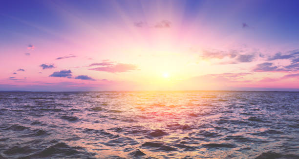panorama seascape wczesnym rankiem. wschód słońca nad morzem. krajobraz przyrody - horyzont wodny zdjęcia i obrazy z banku zdjęć