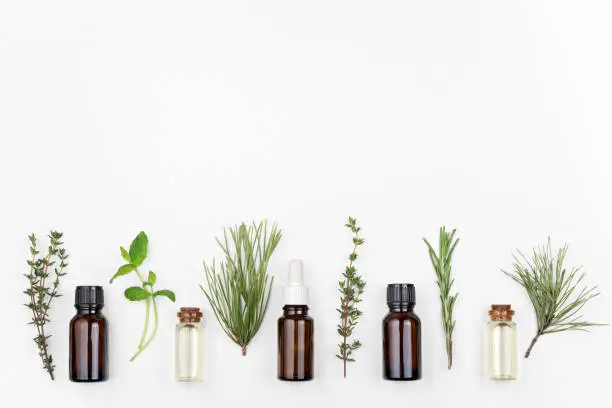 Photo of Bottles of rosemary, pine, thyme, mint essential oil on a white background, top view, copy space
