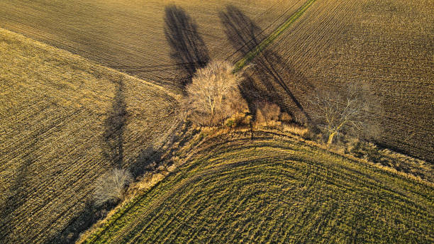 istock Wisconsin autumn farmland 1357728784