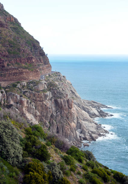 eastern coastal road, cape point, cape of good hope, cape colony, cape town, south africa. - south africa africa cape of good hope cape town imagens e fotografias de stock