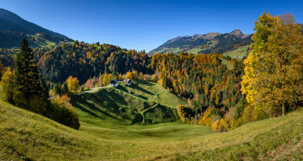 istock Landscape with a colorful forest during autumn 1357732469