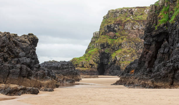 widok na skaliste wybrzeże i plażę na downhill beach w hrabstwie londonderry w irlandii północnej. - coleraine zdjęcia i obrazy z banku zdjęć