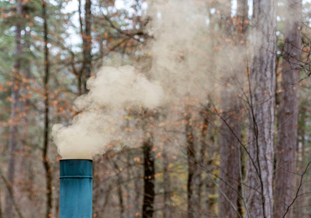 a chimney polluting the air in the forest