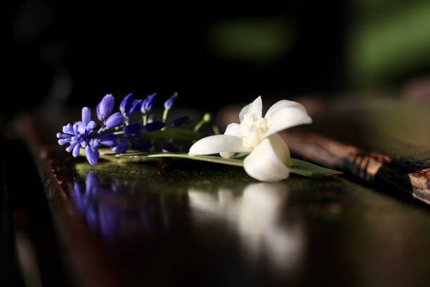 istock a set of flowers 1357740093