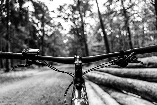 View of the steering wheel from the electric mountain bike in the forest with trees in the front, path in the left side and tree trunks on the right side