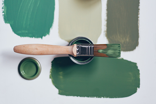 Process of choosing paint for the walls during house renovation, different green colors