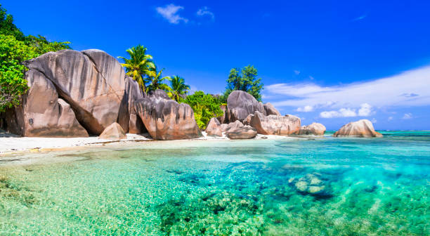 istock Unique tropical beach with granite rocks - Anse source d'argent in La Digue island, Seychelles 1357750336