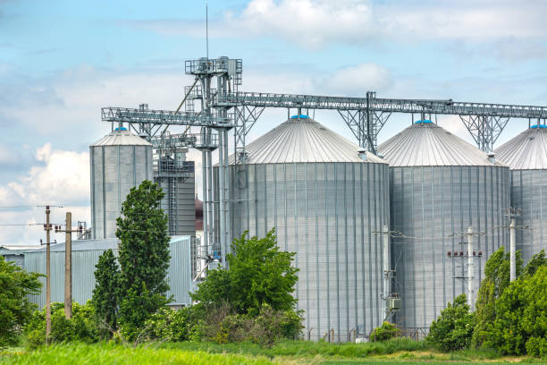 istock Silos on a beautiful day with puffy clouds and fresh green grass 1357751378