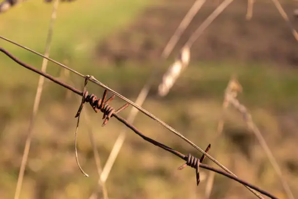 Rusty barbed wire. Old fence fragment. Selective focus