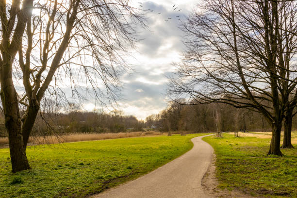 istock pathway in an autumn parks nature colors pond and background trees 1357761705