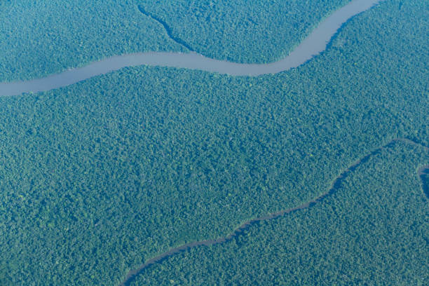 istock Aerial view of amazon rainforest and some rivers. 1357762930